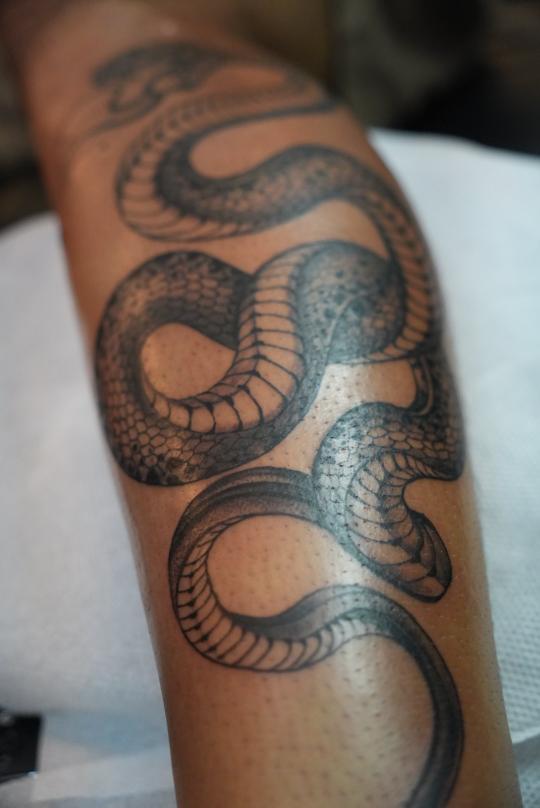 Snake realism tattoo done at Chembur tattoo studio