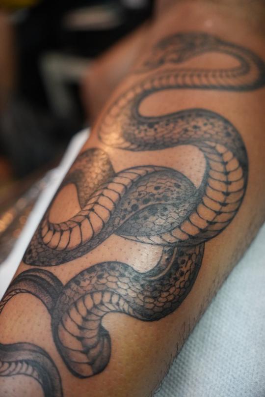 Snake tattoo, Screamzonetattoo tattoo studio in Mumbai