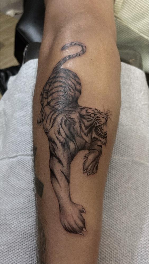 Tiger portrait tattoo full body real tiger tattoo in mumbai best tattoo shop in mumbai, screamzonetattoo