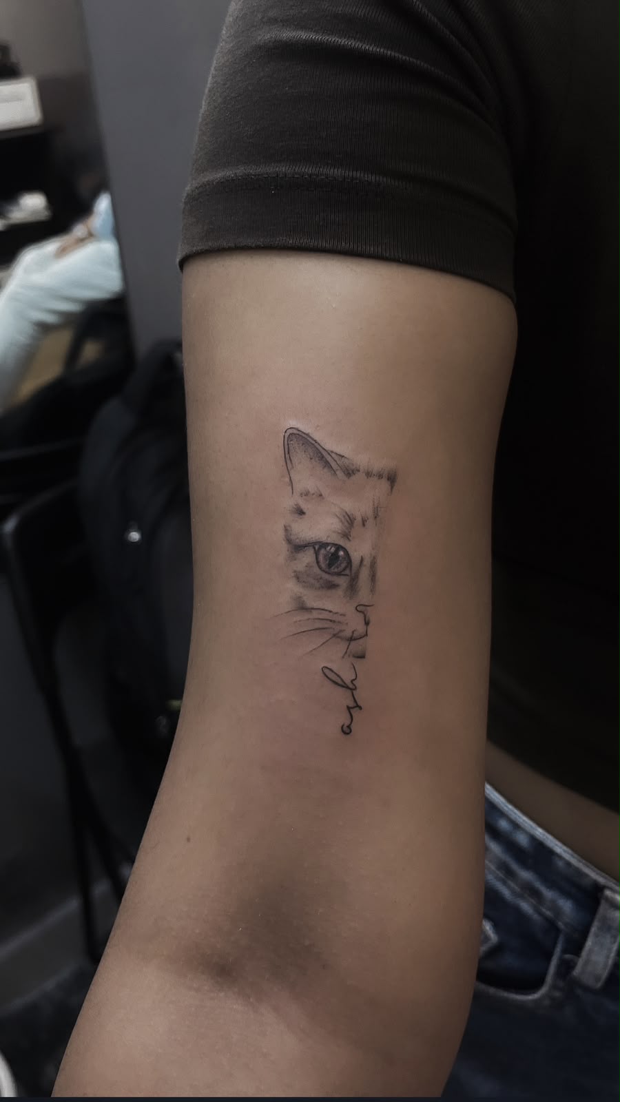 Half Portrait Cat tattoo design and meaning - Pet, Minimal tattoo by Screamzonetattoo, Ghatkopar Mumbai